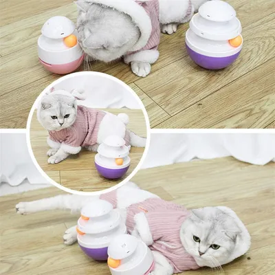 IntiMeg Jouet pour chat Trackball