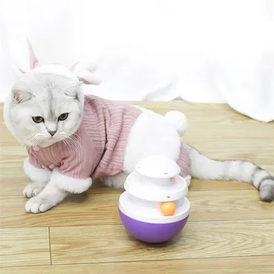 IntiMeg Jouet pour chat Trackball