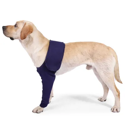IntiMeg Funda protectora antilamido para perros