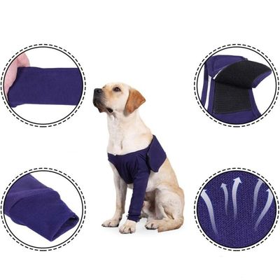 IntiMeg Manchon de Protection Anti-léchage pour Chiens