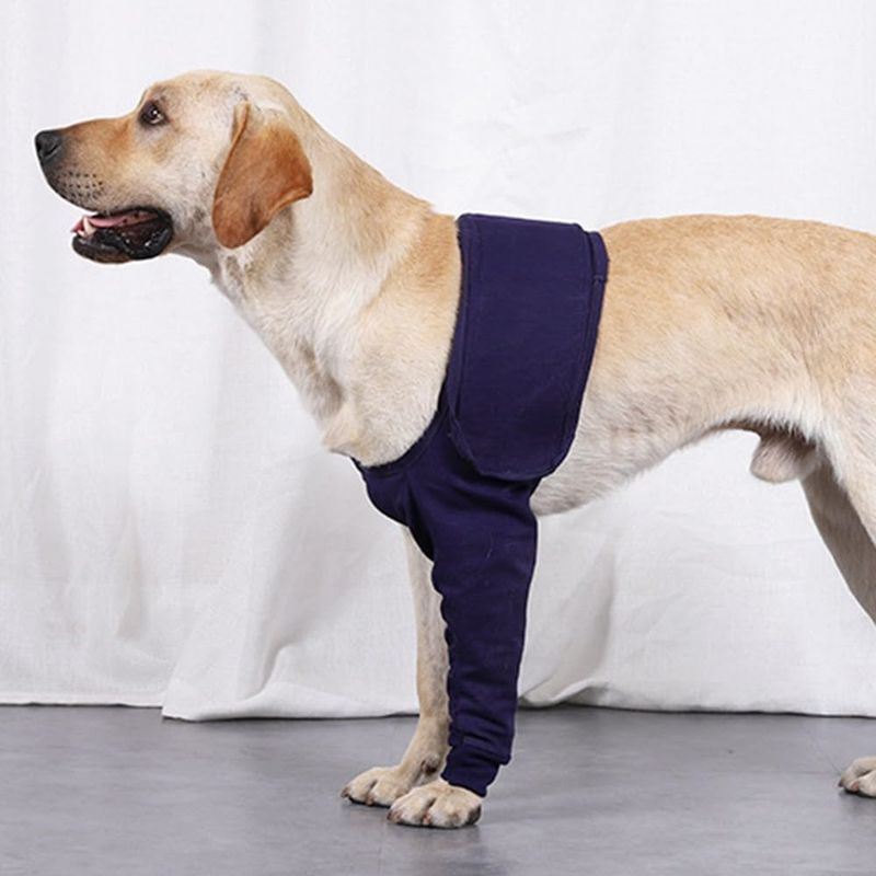IntiMeg Manchon de Protection Anti-léchage pour Chiens