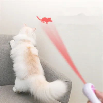 IntiMeg Stylo laser patte de chat
