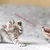 IntiMeg Jouet pour chat avec pointeur laser