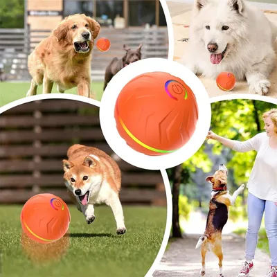 IntiMeg Balle rebondissante intelligente pour chiens