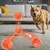 IntiMeg Balle rebondissante intelligente pour chiens