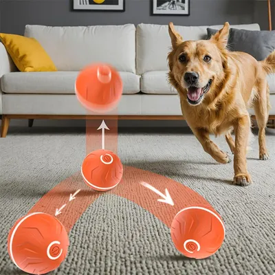 IntiMeg Balle rebondissante intelligente pour chiens
