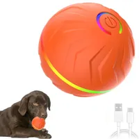 IntiMeg Balle rebondissante intelligente pour chiens