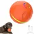 IntiMeg Balle rebondissante intelligente pour chiens