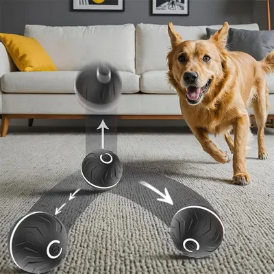 IntiMeg Balle rebondissante intelligente pour chiens