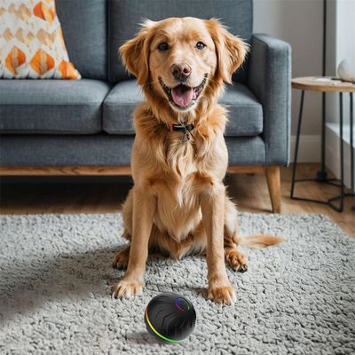 IntiMeg Pelota inteligente para perros que rebota
