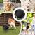 IntiMeg Balle rebondissante intelligente pour chiens
