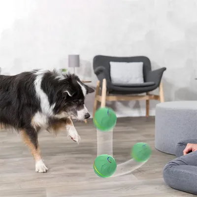 IntiMeg Balle rebondissante intelligente pour chiens