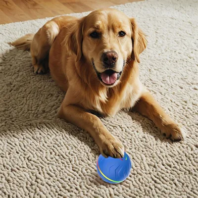 IntiMeg Balle rebondissante intelligente pour chiens