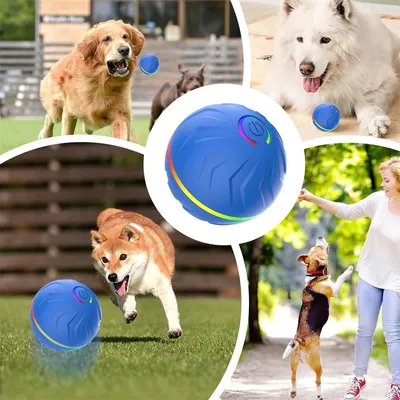 IntiMeg Balle rebondissante intelligente pour chiens