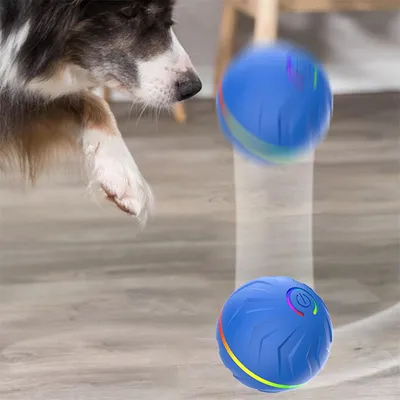 IntiMeg Balle rebondissante intelligente pour chiens