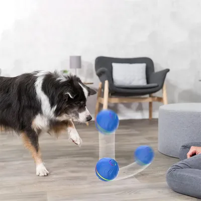 IntiMeg Balle rebondissante intelligente pour chiens