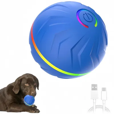 IntiMeg Balle rebondissante intelligente pour chiens