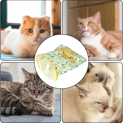 IntiMeg Jouet Tunnel pour Chat