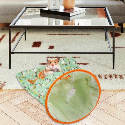 IntiMeg Jouet Tunnel pour Chat