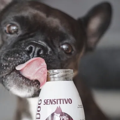 Smoothie Dog - Smoothie pour chiens 250mL