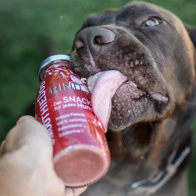 Smoothie Dog - Smoothie pour chiens 250mL