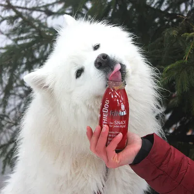 Smoothie Dog - Smoothie pour chiens 250mL