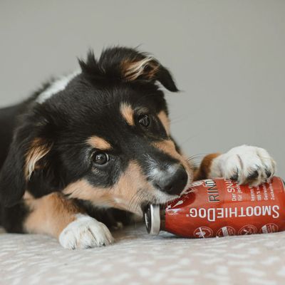 Smoothie Dog - Smoothie pour chiens 250mL