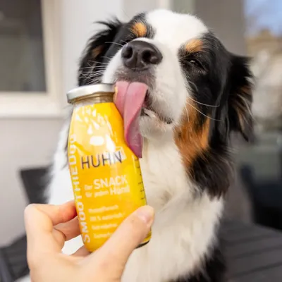 Smoothie Dog - Smoothie pour chiens 250mL Smoothie Dog - Smoothie pour chiens 250mL