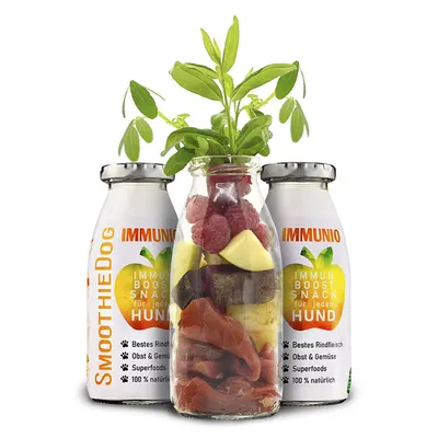 Smoothie Dog - Smoothie pour chiens 250mL Smoothie Dog - Smoothie pour chiens 250mL