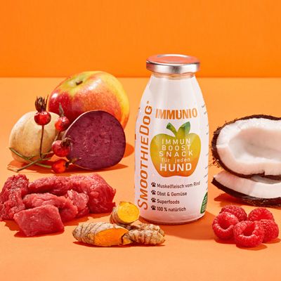 Smoothie Dog - Smoothie pour chiens 250mL