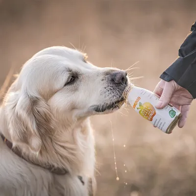 Smoothie Dog - Smoothie pour chiens 250mL Smoothie Dog - Smoothie pour chiens 250mL