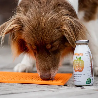 Smoothie Dog - Smoothie pour chiens 250mL Smoothie Dog - Smoothie pour chiens 250mL