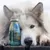 Smoothie Dog - Smoothie pour chiens 250mL Smoothie Dog - Smoothie pour chiens 250mL