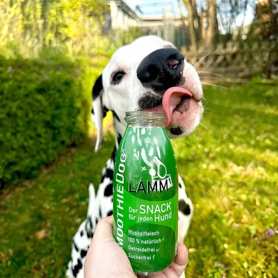 Smoothie Dog - Smoothie pour chiens 250mL Smoothie Dog - Smoothie pour chiens 250mL