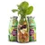 Smoothie Dog - Smoothie pour chiens 250mL Smoothie Dog - Smoothie pour chiens 250mL
