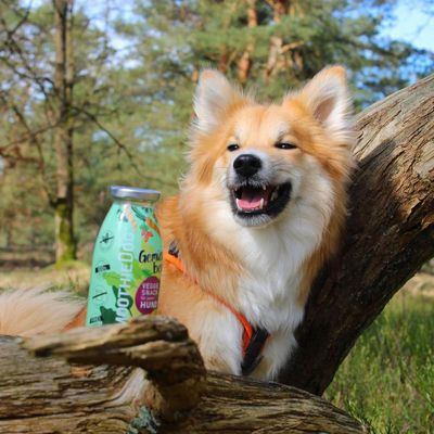 Smoothie Dog - Smoothie pour chiens 250mL