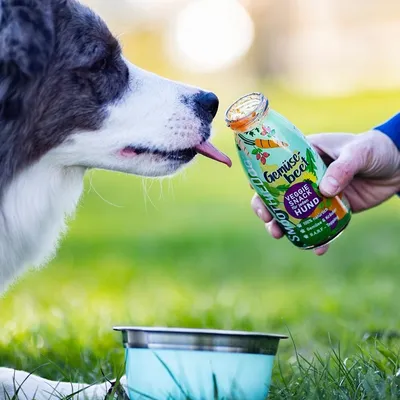 Smoothie Dog - Smoothie pour chiens 250mL Smoothie Dog - Smoothie pour chiens 250mL