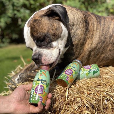 Smoothie Dog - Smoothie pour chiens 250mL