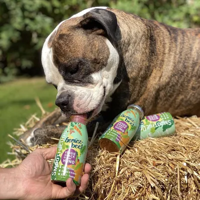 Smoothie Dog - Smoothie pour chiens 250mL Smoothie Dog - Smoothie pour chiens 250mL