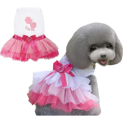 Izefia Robe de chien en dentelle Izefia Robe de chien en dentelle