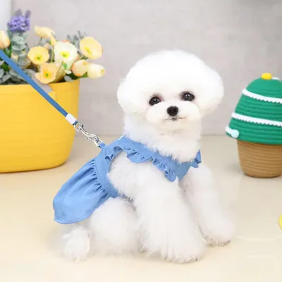 lzefia  Robe en jean pour chien