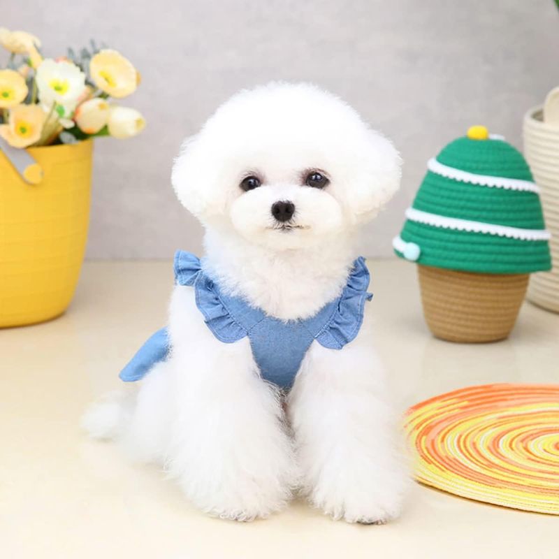 lzefia  Jupe pour animaux de compagnie en denim