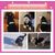 Veste sweat-shirt pour animaux de compagnie Izefia
