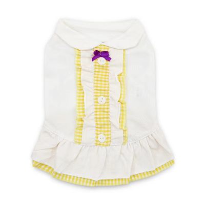 Vêtements de chemise de chien