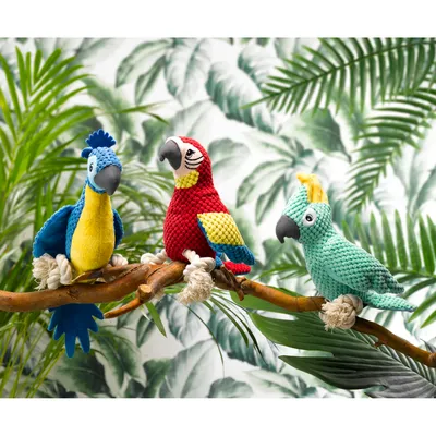 Jouet peluche Carlos le perroquet corde pour chien