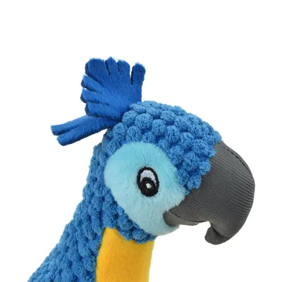 Jouet peluche Carlos le perroquet corde pour chien