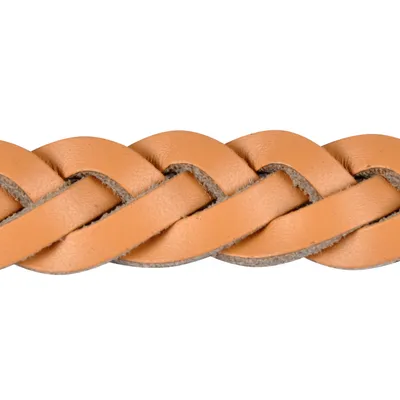 Laisse en cuir tresse naturel pour chien