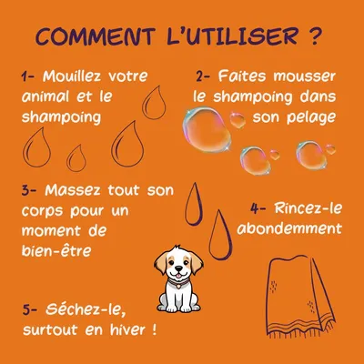 Mon Némée Shampoing Solide