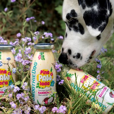 Smoothie Dog - Smoothie pour chiens 250mL
