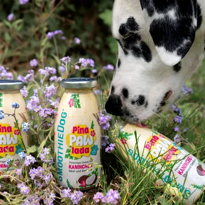 Smoothie Dog - Smoothie pour chiens 250mL Smoothie Dog - Smoothie pour chiens 250mL